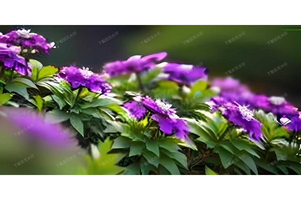 杭州麻豆女按摩，引领健康养生潮流夜生活