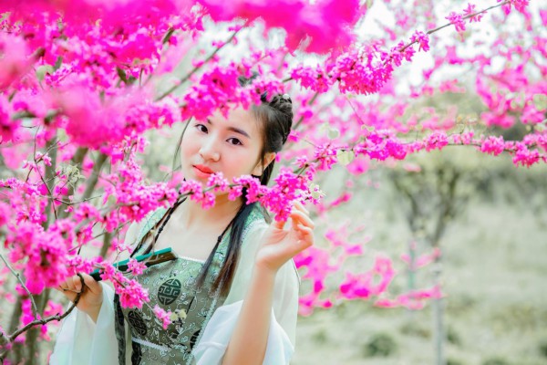 养生必备！补脾益肠丸助力肠胃健康